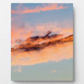 誘引消費 フォトプラーク (正面)