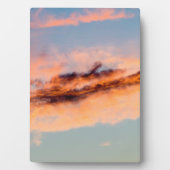 誘引消費 フォトプラーク (正面)