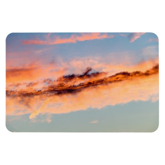 誘引消費 マグネット (横)