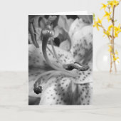 誘惑ユリ カード (黄色い花)