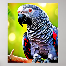 語るアフリカの灰色のオウム ポスター