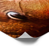 語るアフリカの灰色のオウム ポスター (角)