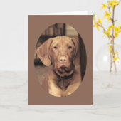 誠実な友人 カード (黄色い花)