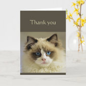 誠実感謝していな美しい猫動物聖なる書物、 経典 カード (黄色い花)