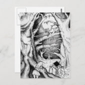 誤った知らせ ポストカード (正面/裏面)