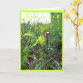 説教壇2のジャック カード (黄色い花)