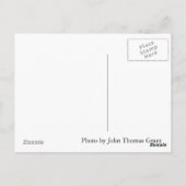 説教者の男性はがき ポストカード (裏面)