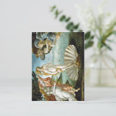 説明w:ボッティチェリ金星の誕生日付c ポストカード (スタンド正面)