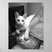 読の ポスター (正面)