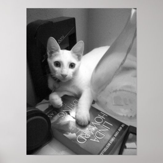 読の ポスター (正面)