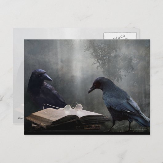 読み取り ポストカード (正面/裏面)