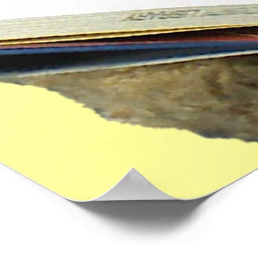 読bear – ポスター (角)