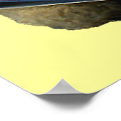 読bear – ポスター (角)