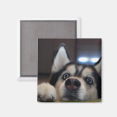 誰かいるか？ マグネット (正面/裏面)