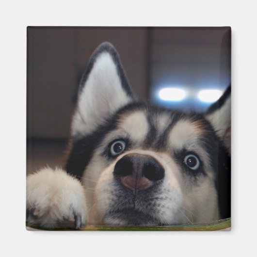 誰かいるか？ マグネット (正面)