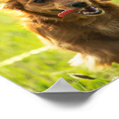 「誰かが門を開け離れているように生きる」ダシュント ポスター (角)