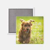 「誰かが門を開け離れているように生きる」ダシュント マグネット (正面/裏面)