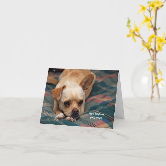 誰かに聞いた？ カード (黄色い花)