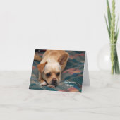 誰かに聞いた？ カード (正面)