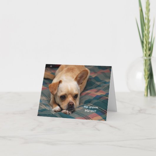 誰かに聞いた？ カード (正面)