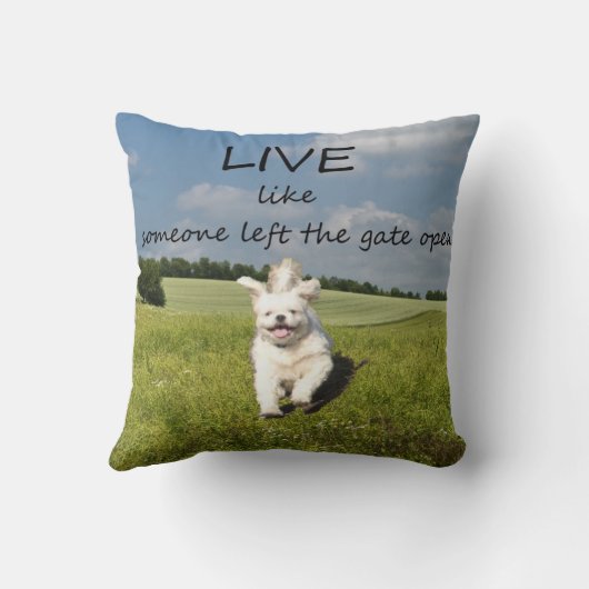 誰かのように残しましたゲートを開いた住んで下さい: 装飾用クッション クッション (裏面)