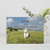 "誰かのように生きているゲートに開いた"招待状を残しました 招待状 (スタンド正面)