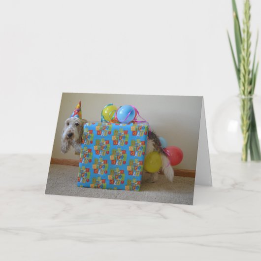 誰かは誕生日プレゼントを発注しましたか。 カード (正面)