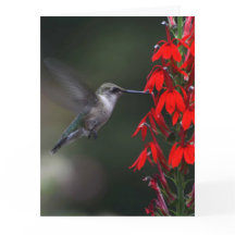 誰かをこの美しいカードとの日明るくして下さい!!