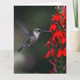 誰かをこの美しいカードとの日明るくして下さい!! カード