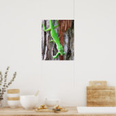 誰か昼食は？グリーンアノール（リザード）ポスター ポスター (キッチン)