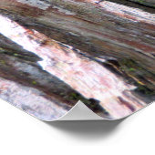 誰か昼食は？グリーンアノール（リザード）ポスター ポスター (角)