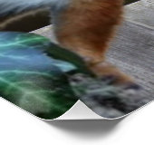 誰か私のナッツを見た者は？ ポスター (コーナー)