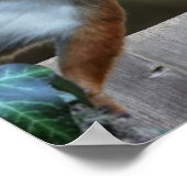 誰か私のナッツを見た者は？ ポスター (角)