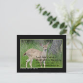 誰か考えるの…… ポストカード (スタンド正面)