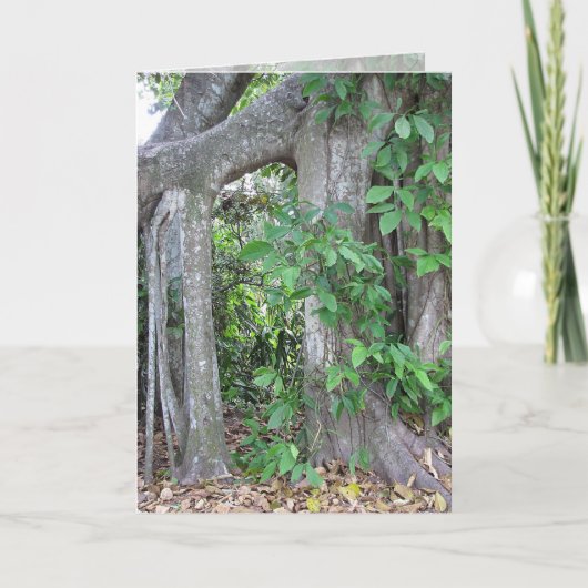 誰か食べる？ カード (正面)