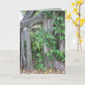 誰か食べる？ カード (黄色い花)