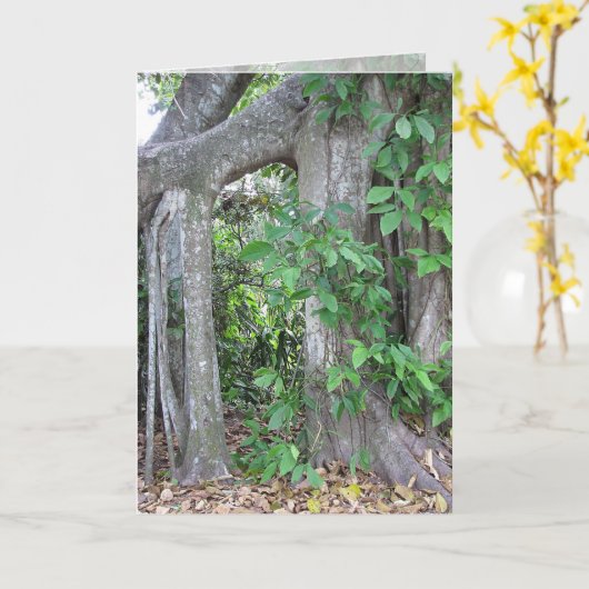 誰か食べる? カード (黄色い花)