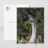 誰がグッシング誰だ！ ポストカード (正面/裏面)