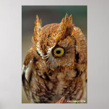 誰が下を見ている