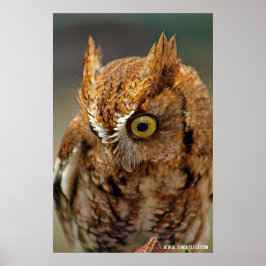 誰が下を見ている ポスター