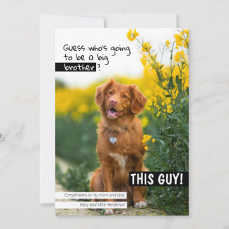 誰が兄弟姉妹になるのか？ 招待状