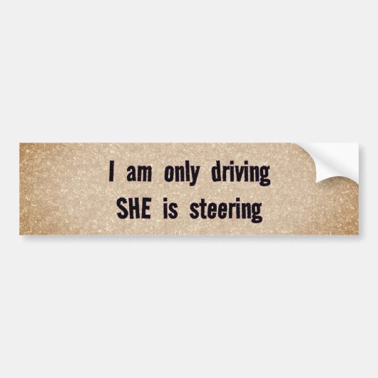 誰が本当に担当してる バンパーステッカー (正面)