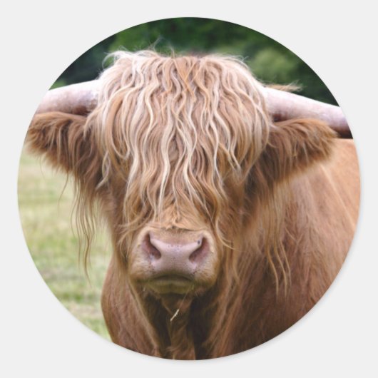 誰が消灯ステッカーを回したか ラウンドシール (正面)