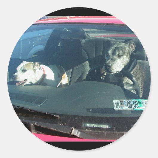 誰が犬を放り出した？シール ラウンドシール (正面)