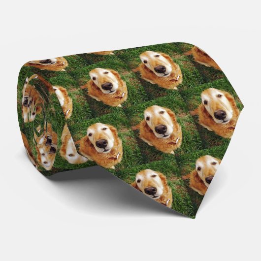 誰が良い子なの？ ネクタイ (ロール)