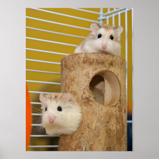 誰が見てるんだ？(ポスター) ポスター (正面)