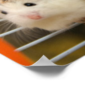 誰が見てるんだ？(ポスター) ポスター (角)