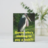 誰が訪ね来るの？! ポストカード (スタンド正面)