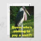 誰が訪ね来るの？! ポストカード (正面/裏面)