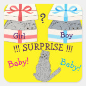 誰が驚生まれくベビー スクエアシール (正面)